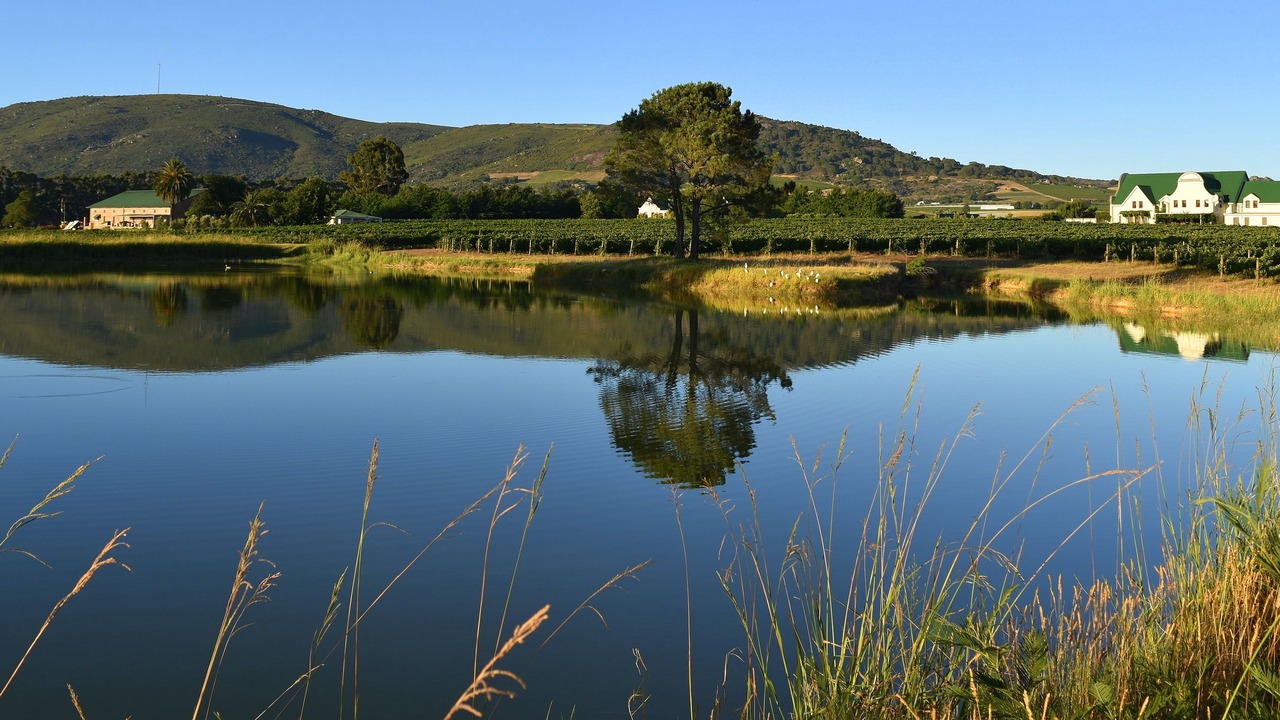Photo of Others in Paarl