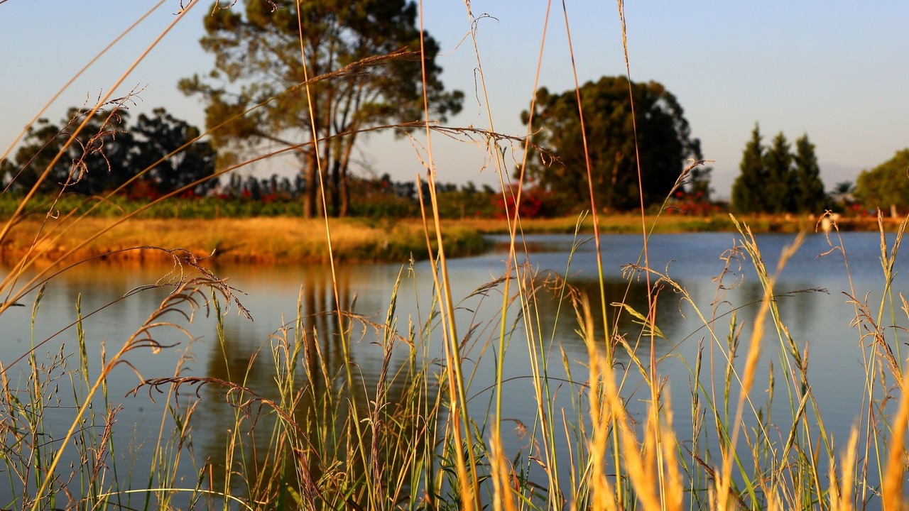 Photo of Others in Paarl