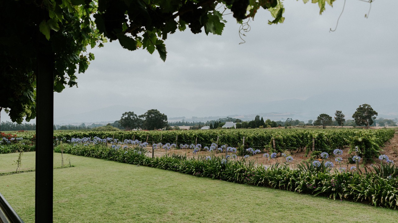 Photo of Others in Paarl