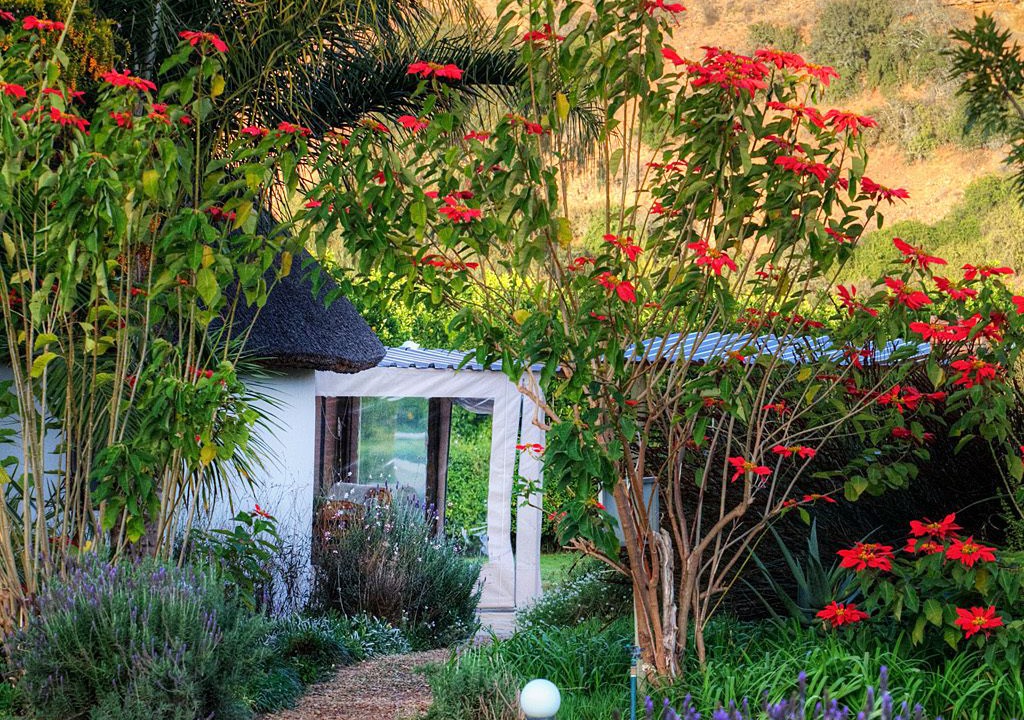 Photo of Bedroom in Addo