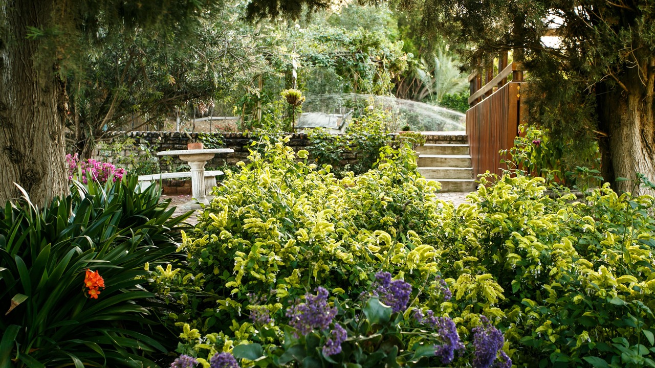Photo of Outdoor in Schoemanshoek