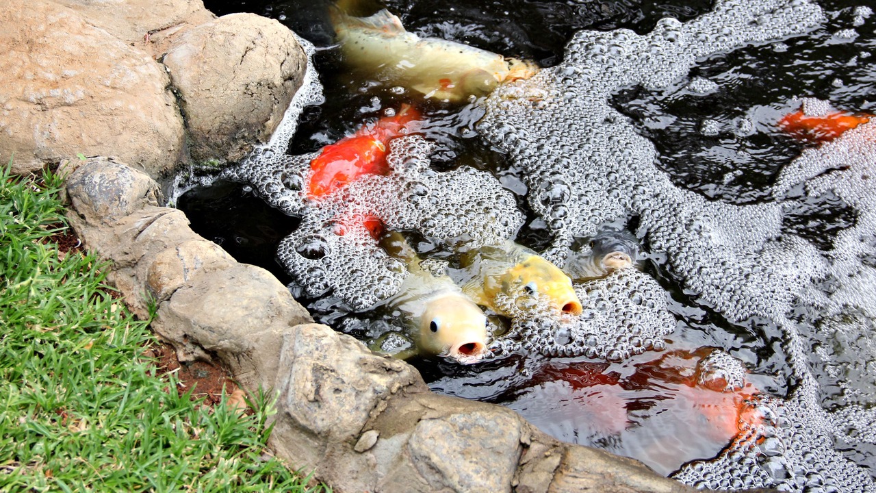 Photo of Outdoor in Upington