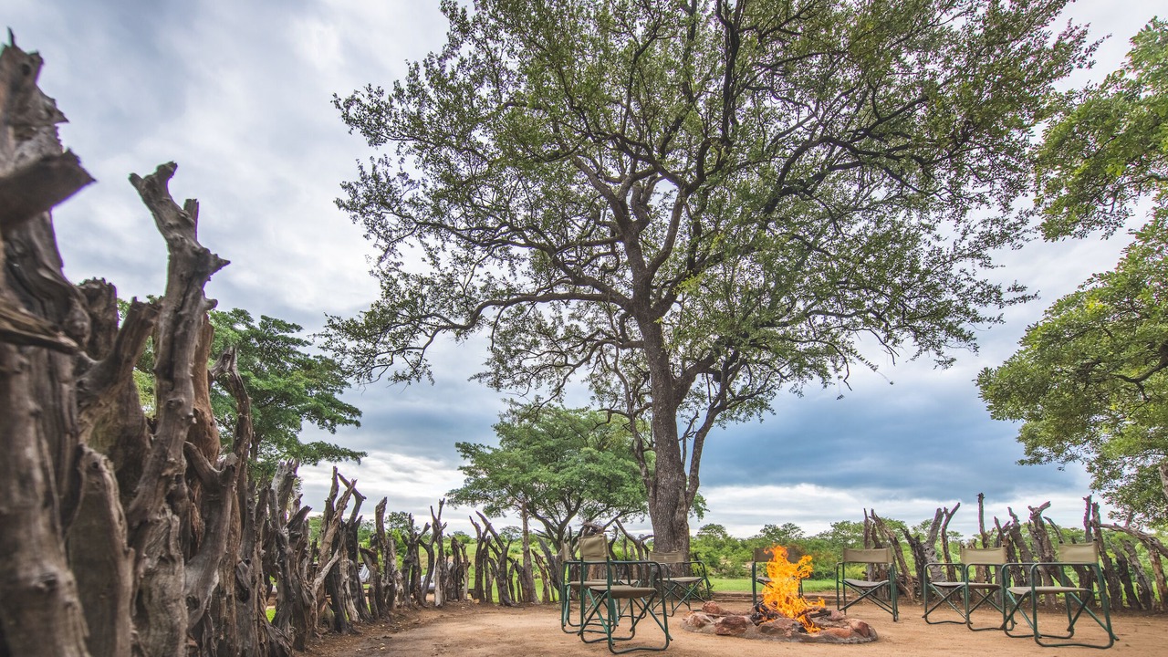 Photo of Others in Thorny Bush Game Reserve