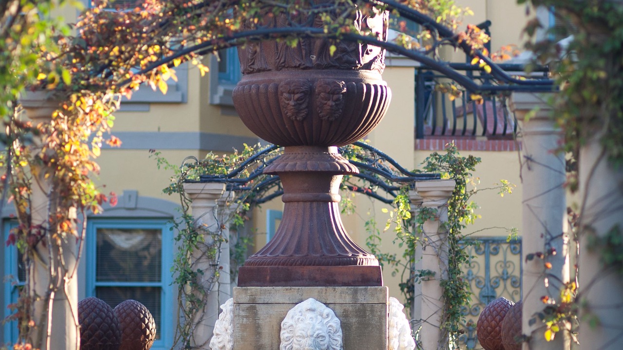 Photo of Outdoor in Franschhoek