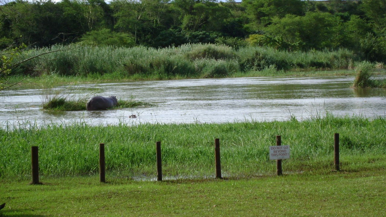 Photo of Others in Komatipoort