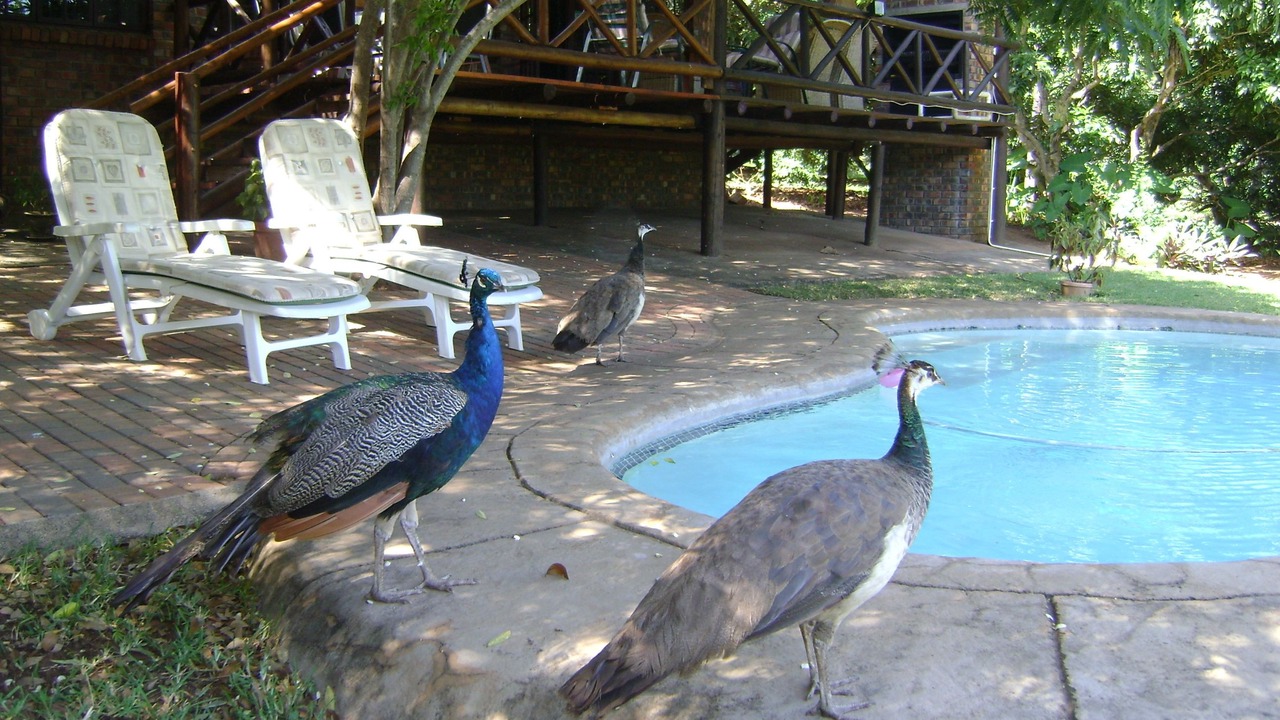 Photo of Outdoor in Komatipoort