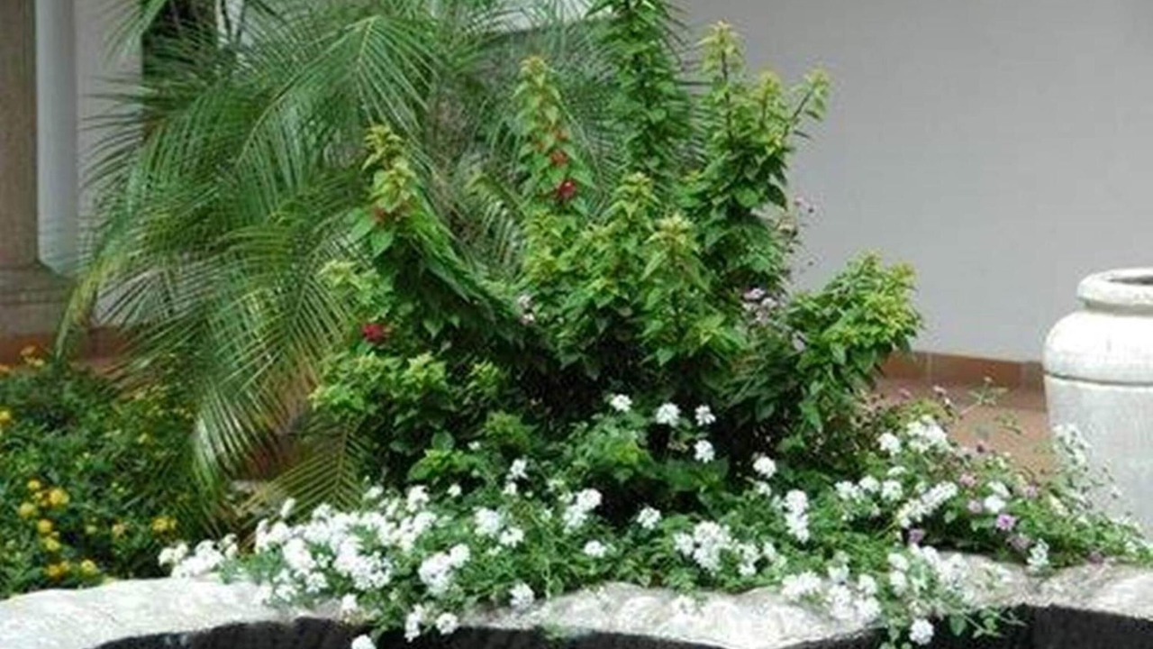 Photo of Outdoor in Durban North