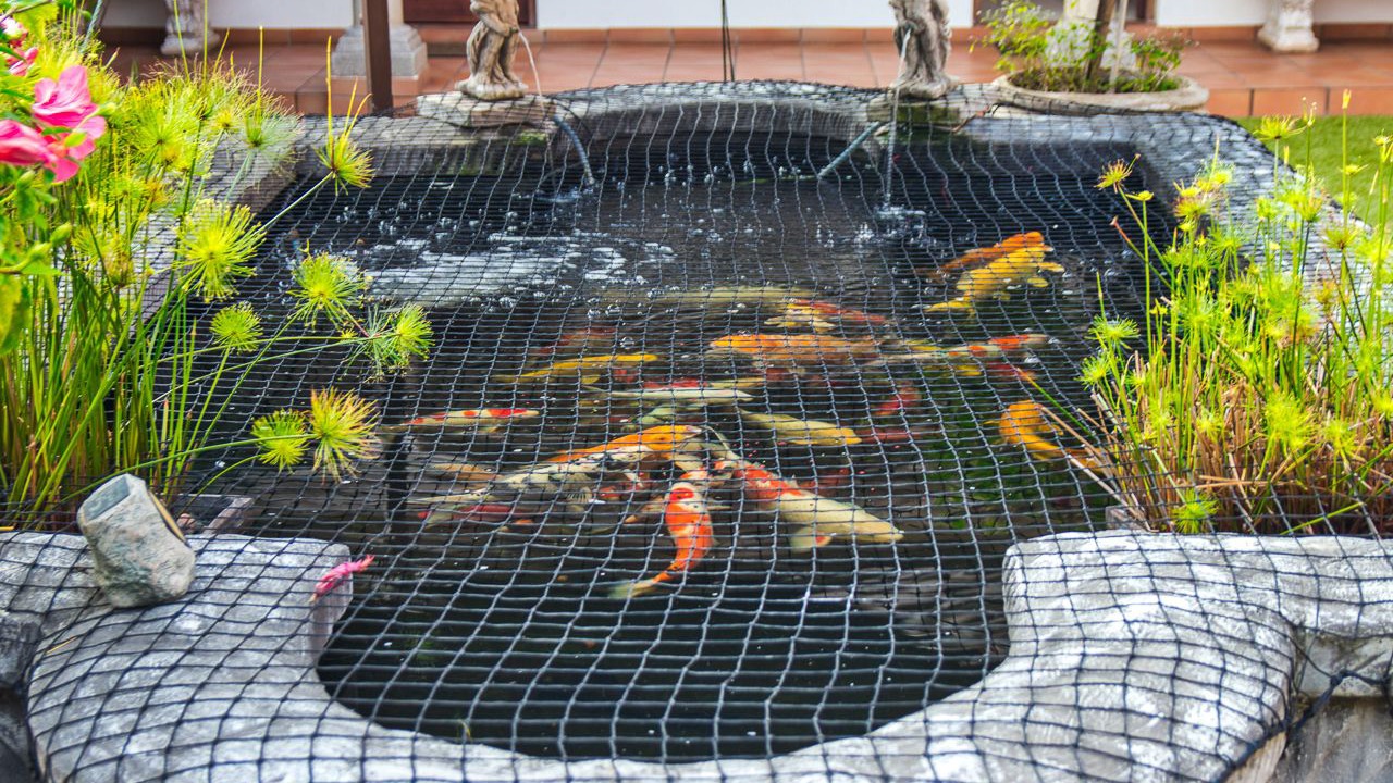 Photo of Outdoor in Durban North