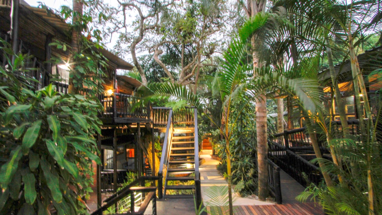 Photo of Outdoor in St. Lucia