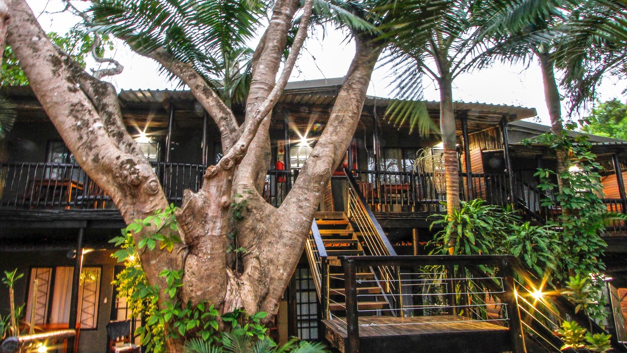 Photo of Outdoor in St. Lucia