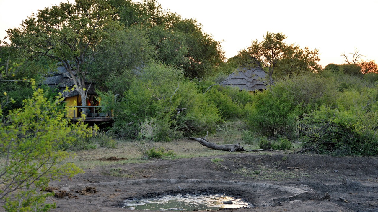 Photo of Others in Madikwe Game Reserve