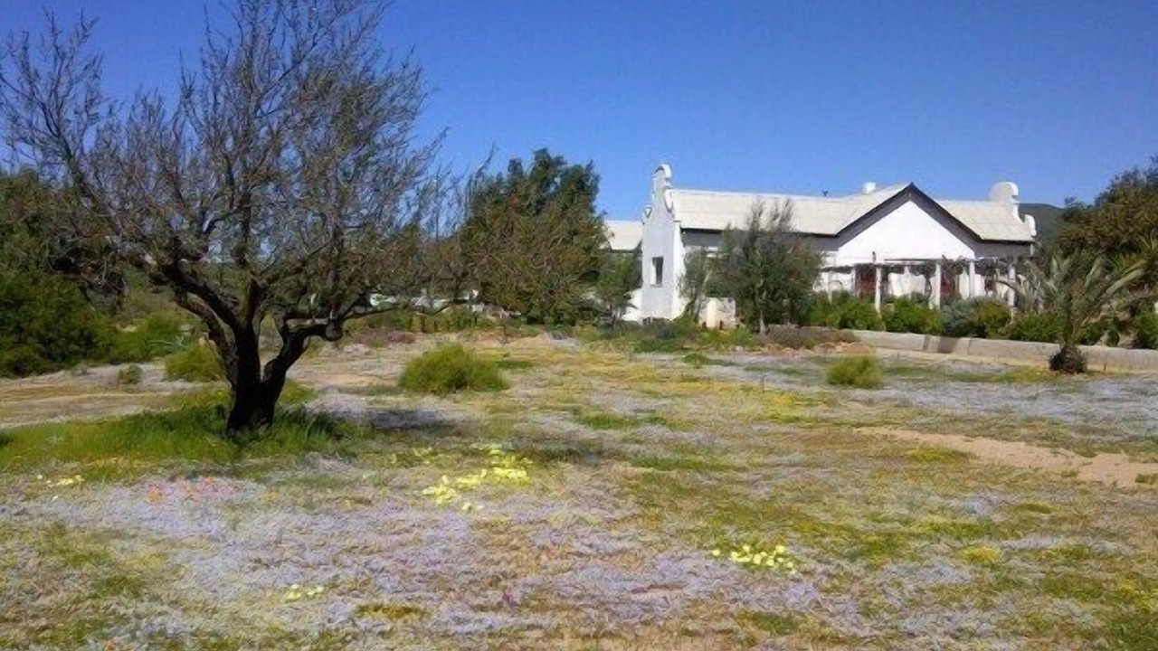 Photo of Outdoor in Springbok
