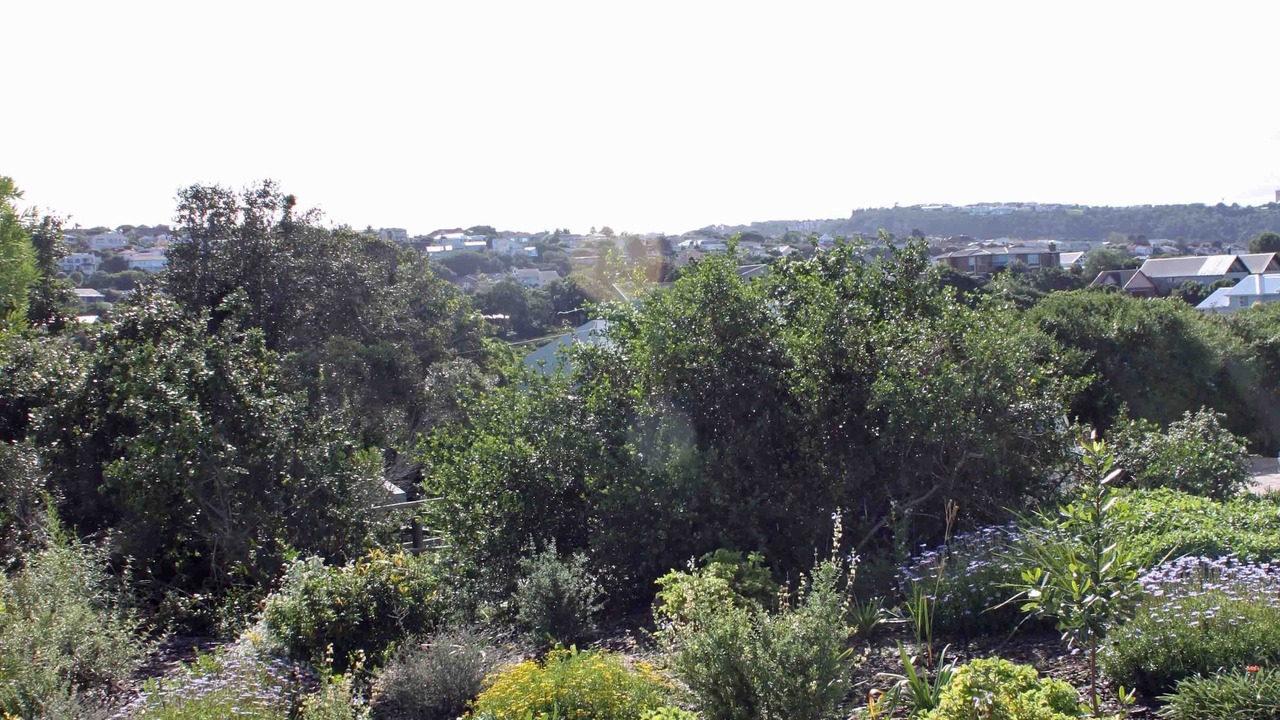 Photo of Outdoor in Robberg Beach