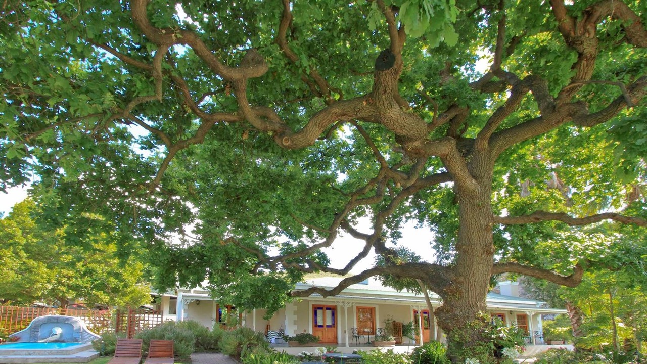 Photo of Outdoor in Montagu