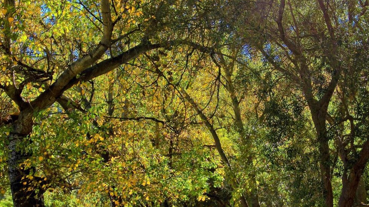 Photo of Outdoor in Montagu