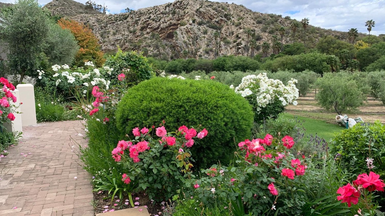Photo of Outdoor in Montagu