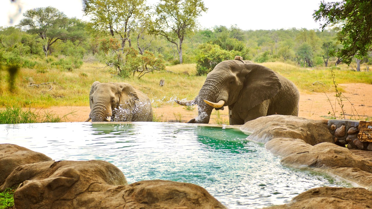 Photo of Outdoor in Kruger National Park