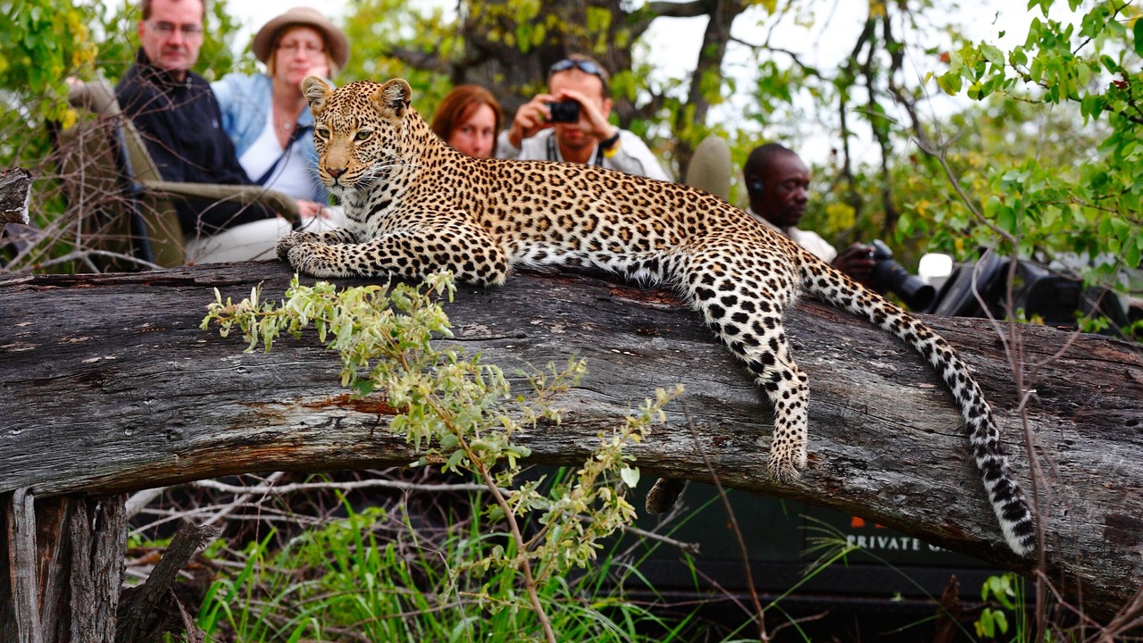 Photo of Others in Kruger National Park