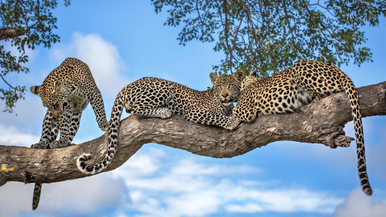 Photo of Outdoor in Kruger National Park