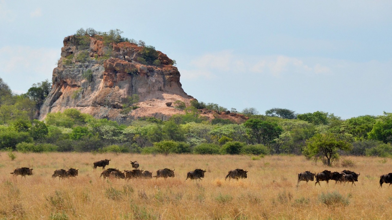 Photo of Others in Modimolle