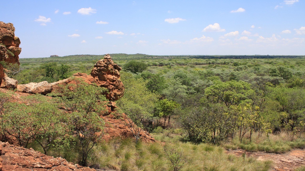 Photo of Outdoor in Modimolle