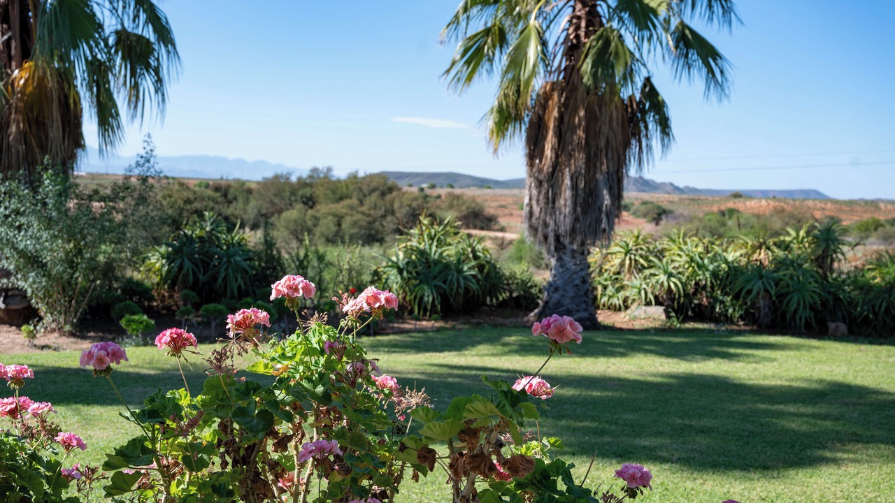 Photo of Outdoor in Volmoed