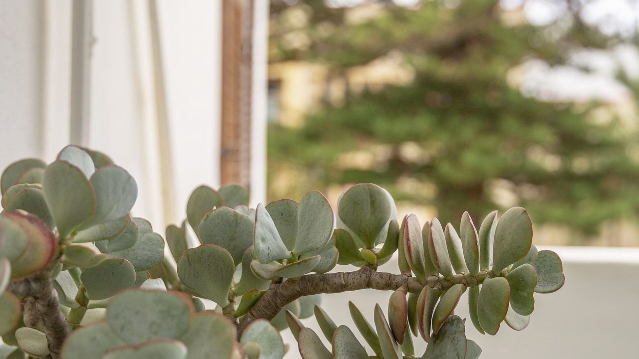 Photo of Outdoor in Montagu