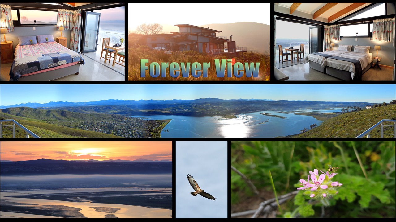 Photo of Others in Knysna