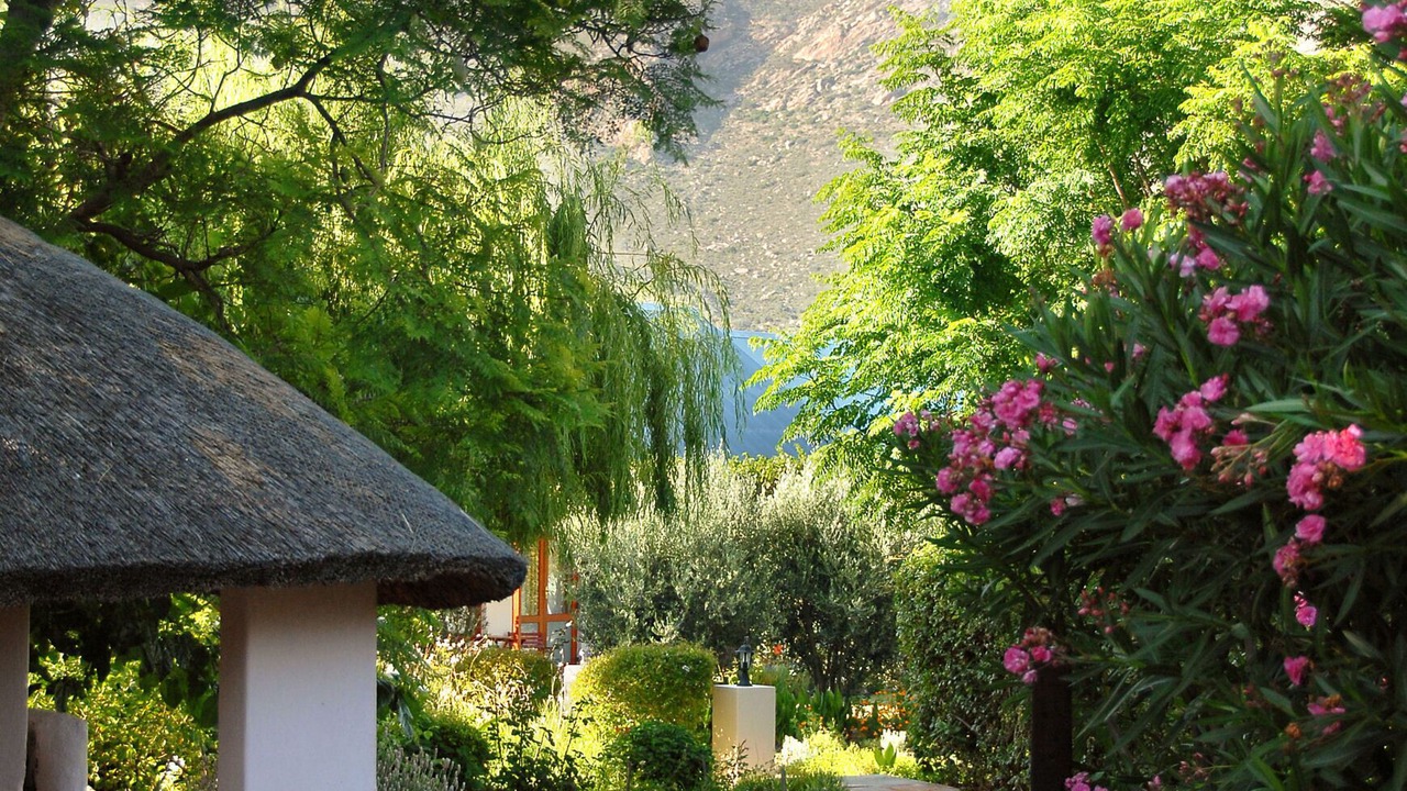 Photo of Outdoor in Montagu