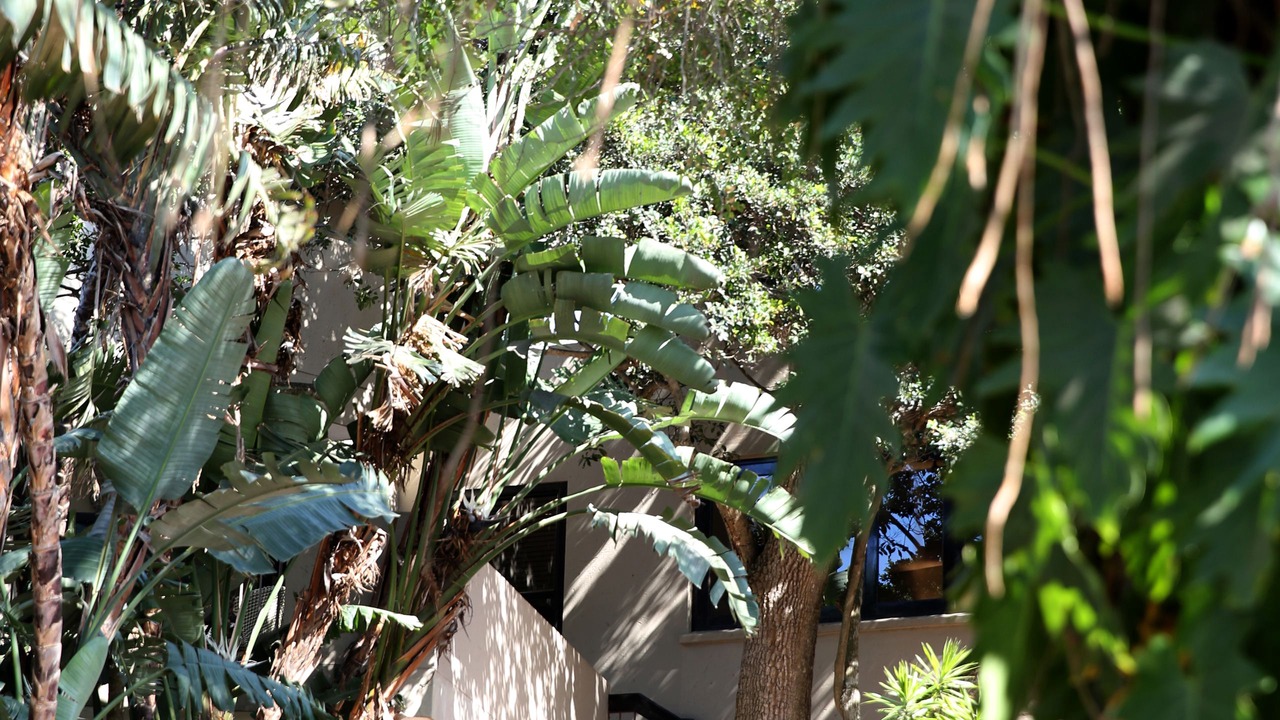 Photo of Outdoor in Umhlanga