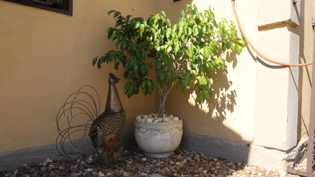 Photo of Outdoor in Mmabatho