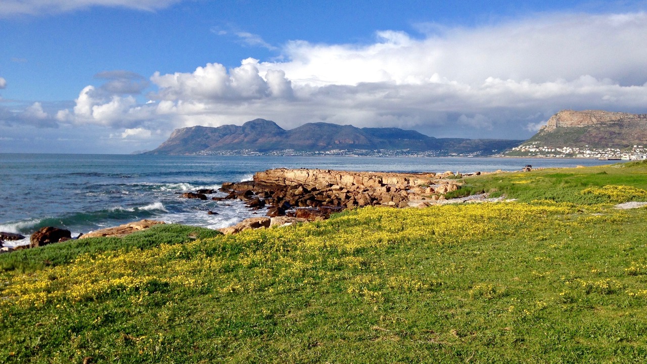 Photo of Others in Muizenberg
