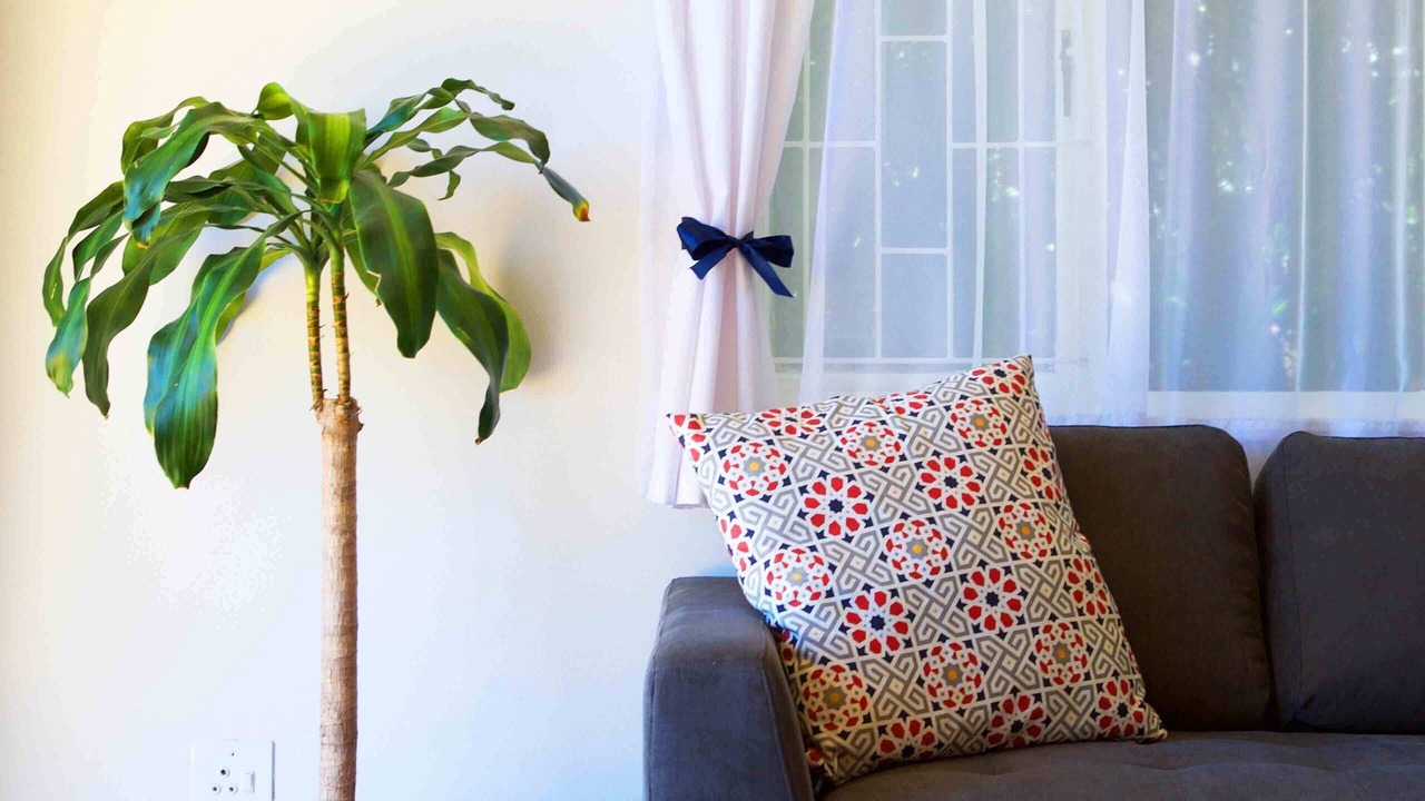 Photo of Livingroom in Muizenberg