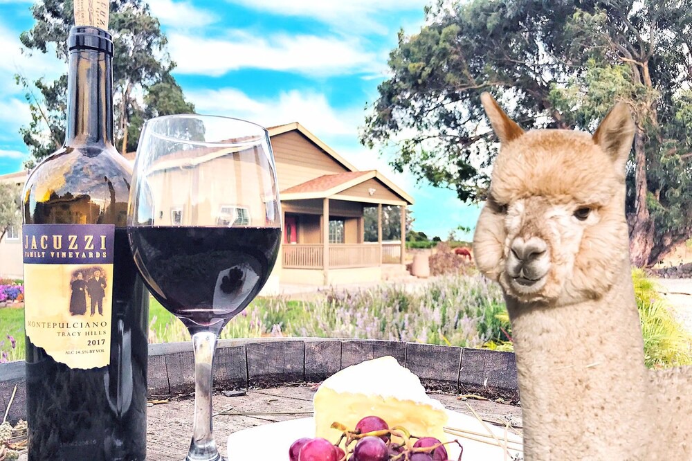 Photo of Others in Sonoma