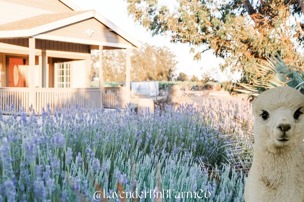 Photo of Outdoor in Sonoma
