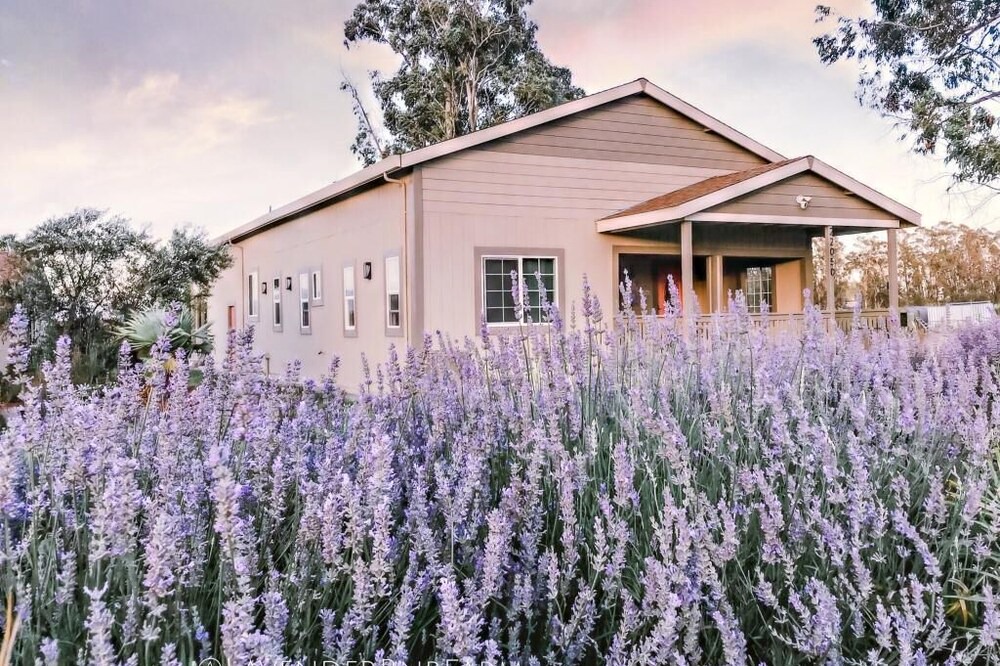Photo of Outdoor in Sonoma