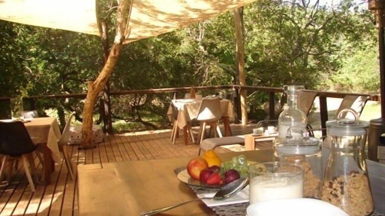 Photo of Others in Thorny Bush Game Reserve