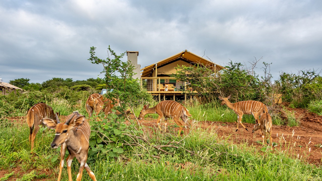 Photo of Outdoor in Pongola