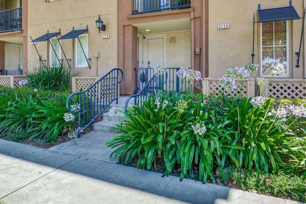 Photo of Outdoor in Willow Glen