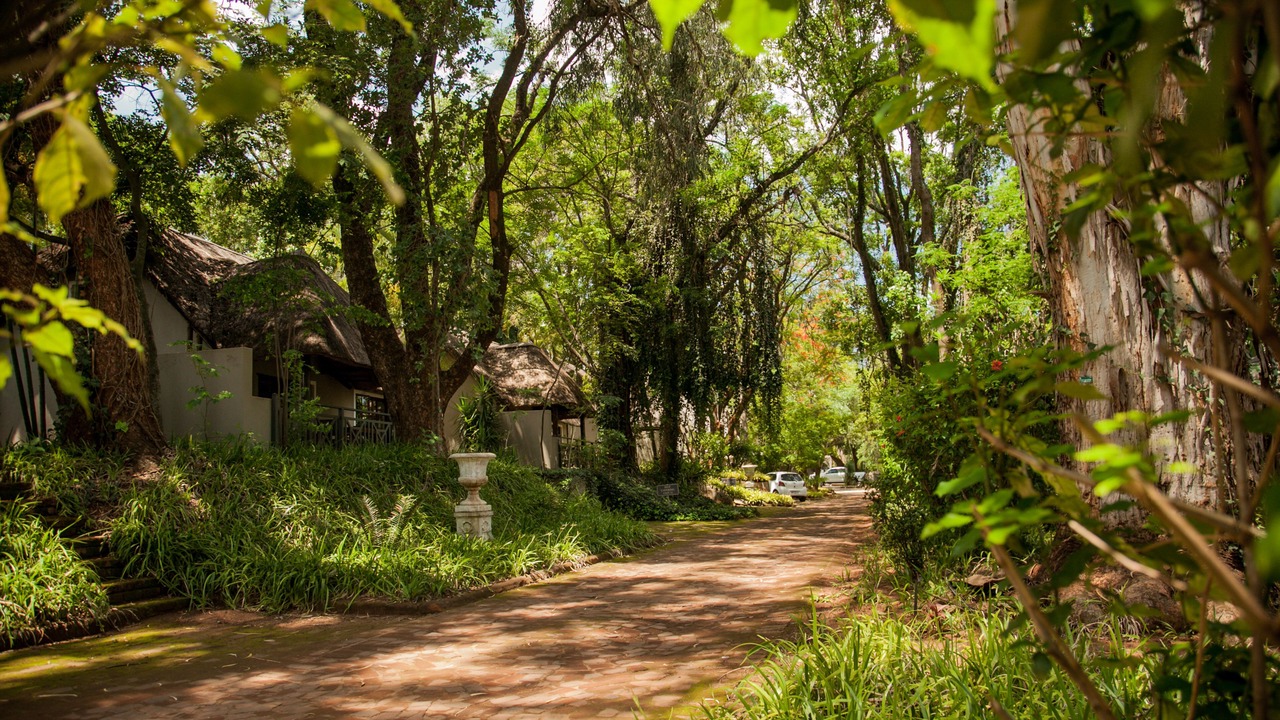 Photo of Bedroom in Tzaneen