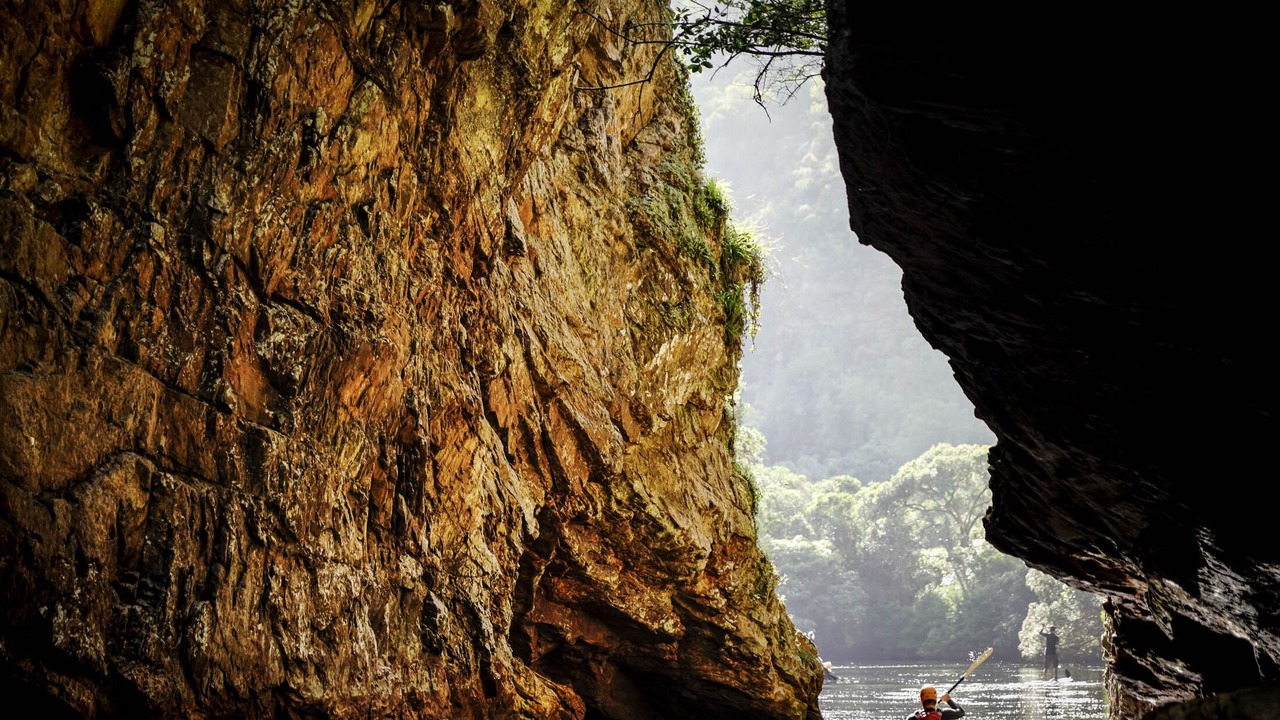 Photo of Others in Wilderness