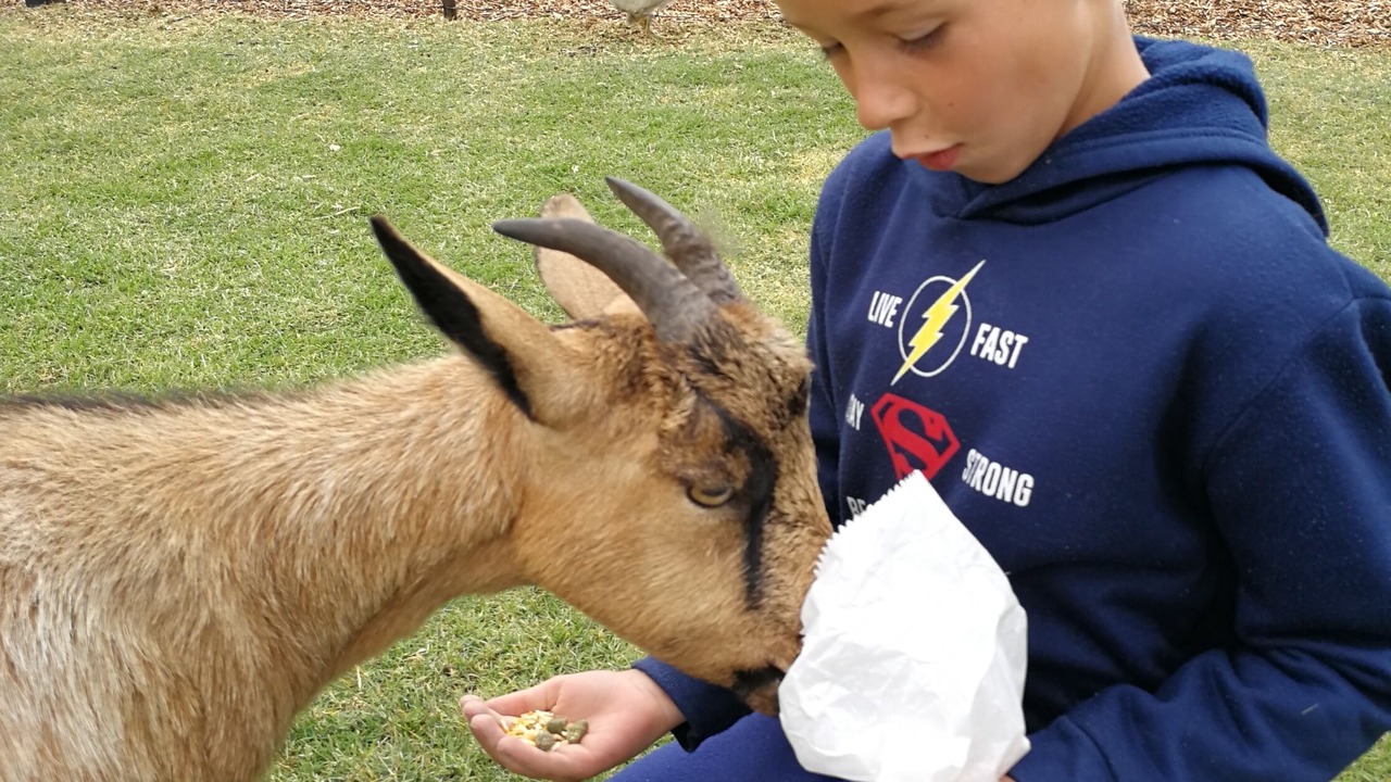 Photo of Outdoor in Gansbaai