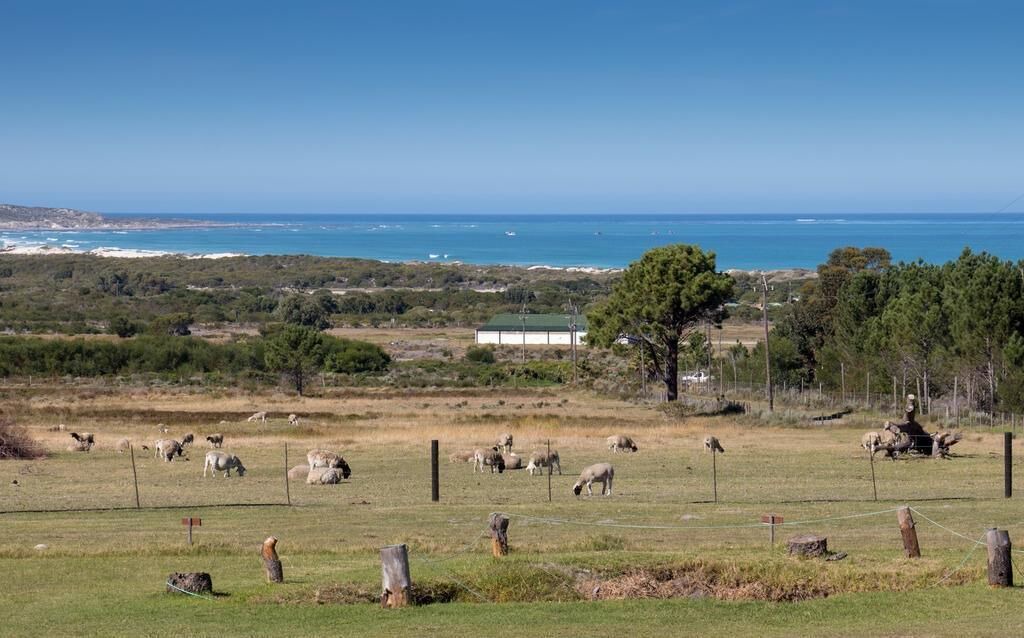 Photo of Others in Gansbaai
