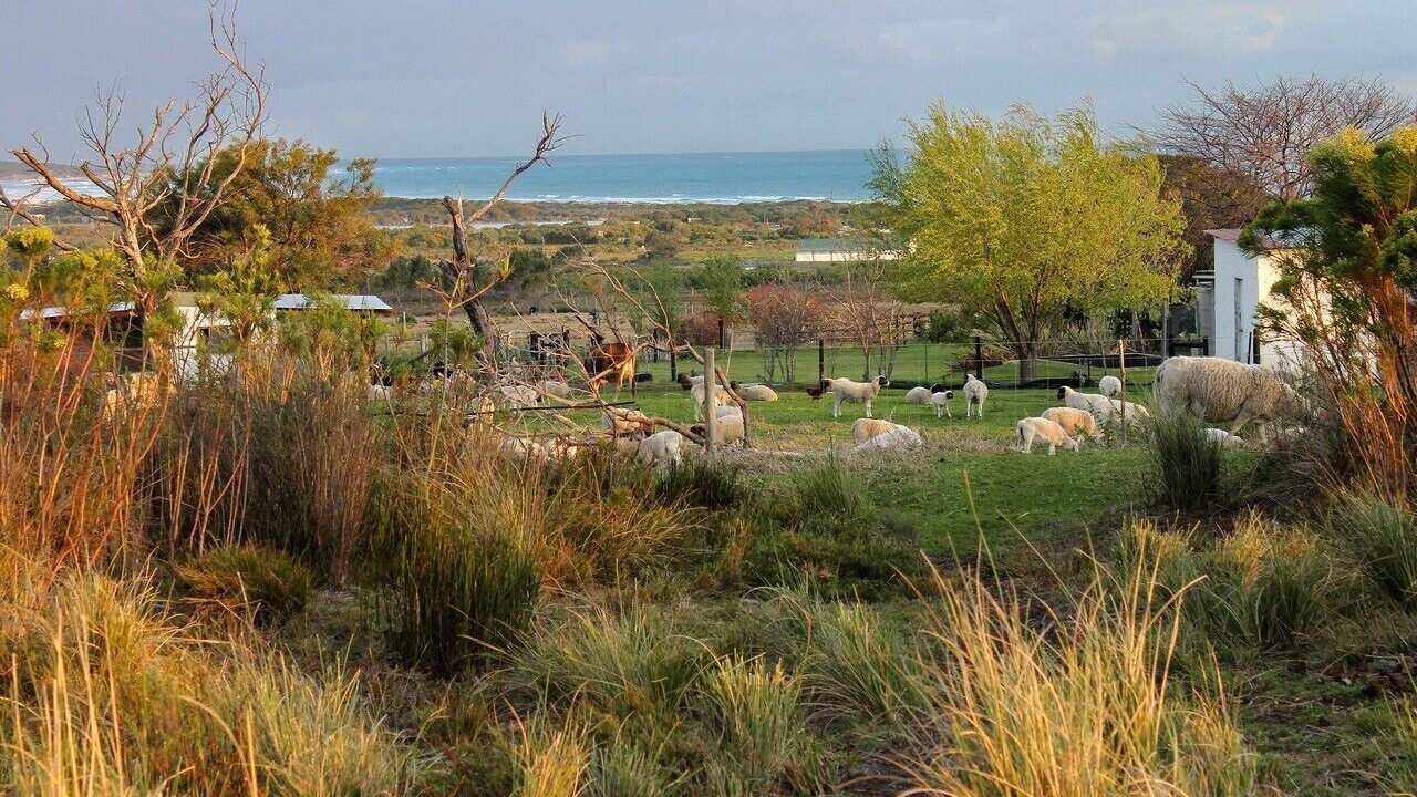 Photo of Outdoor in Gansbaai