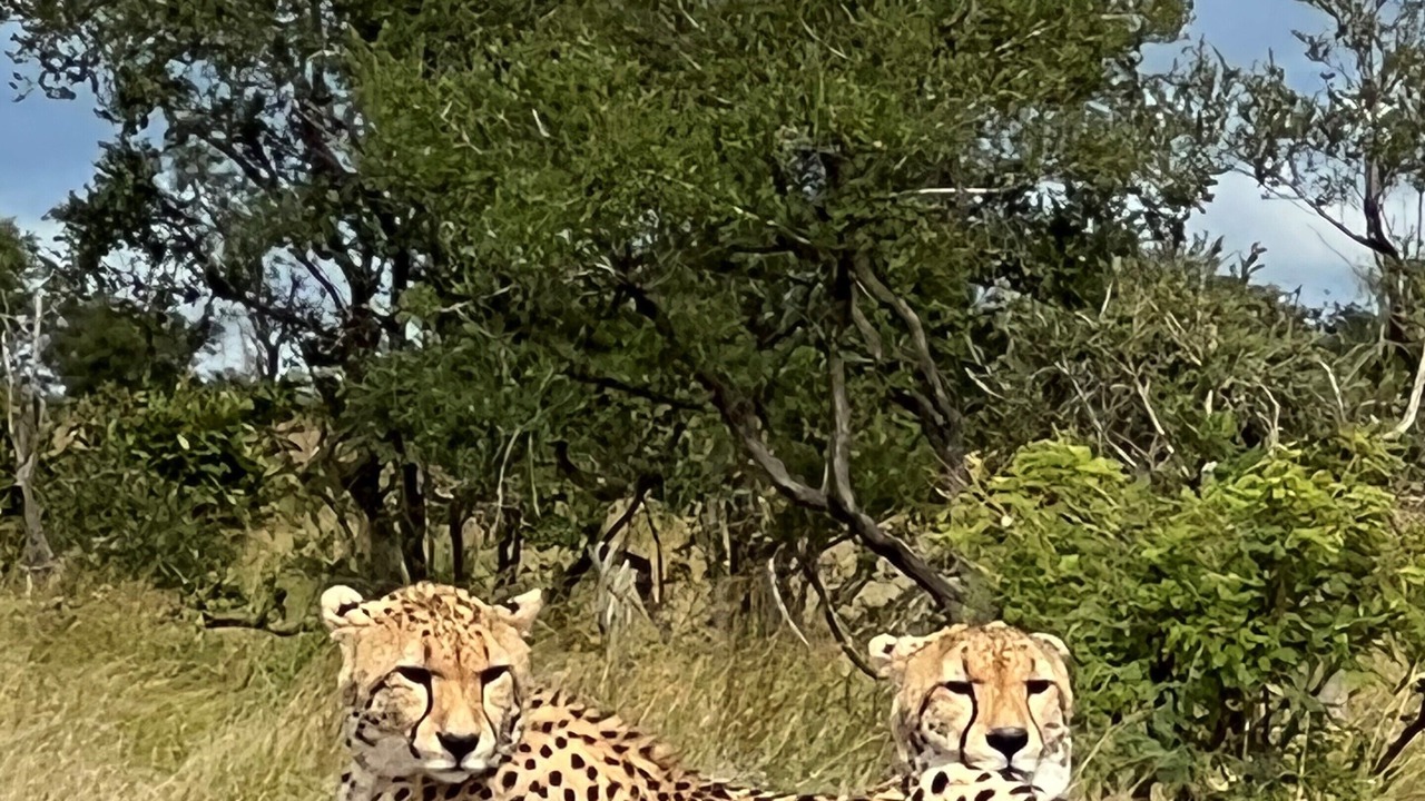 Photo of Others in Somerset West