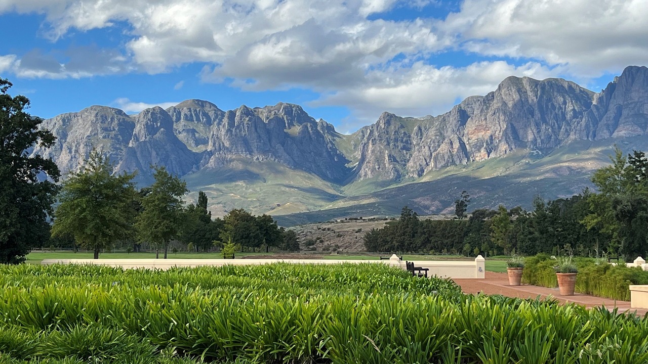 Photo of Others in Somerset West