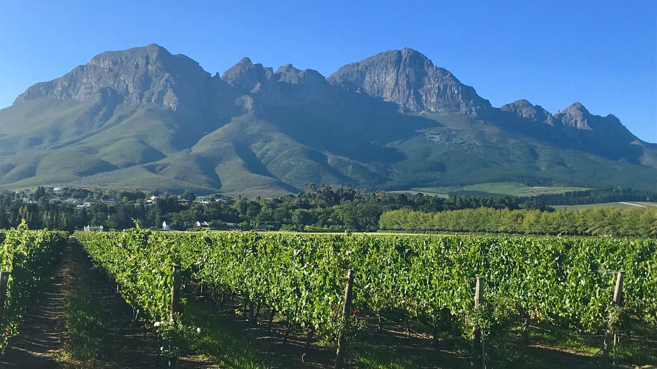 Photo of Others in Somerset West