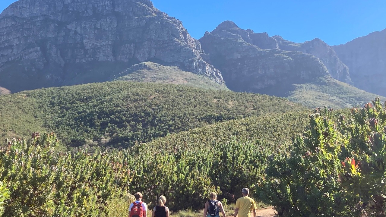 Photo of Outdoor in Somerset West