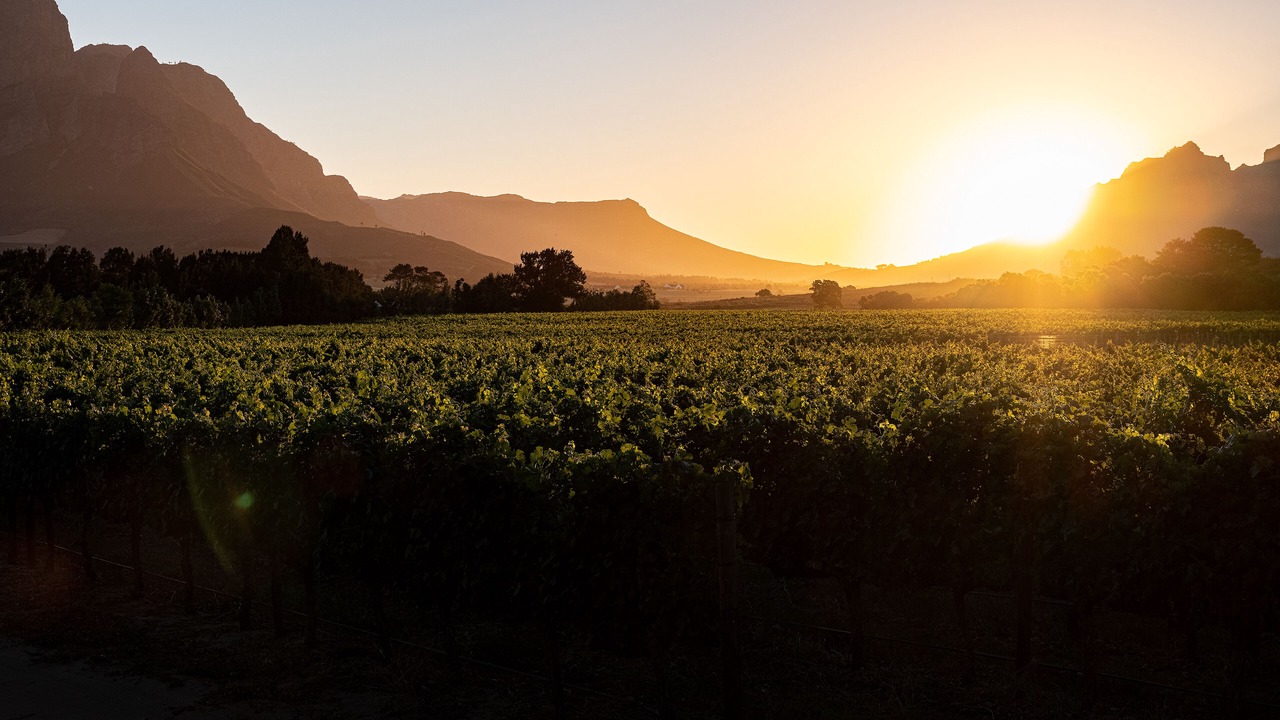 Photo of Patio Balcony in Cape Winelands