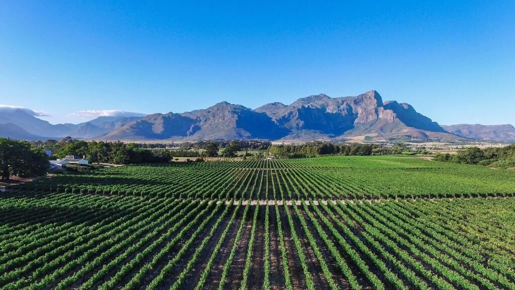 Photo of Outdoor in Cape Winelands